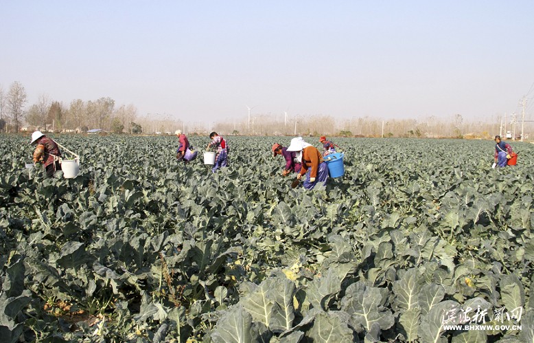 界牌鎮(zhèn)竹林水果種植家庭農(nóng)場