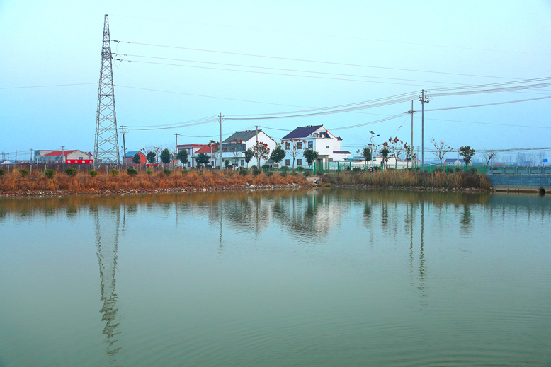 東坎街道沙浦村河道整潔