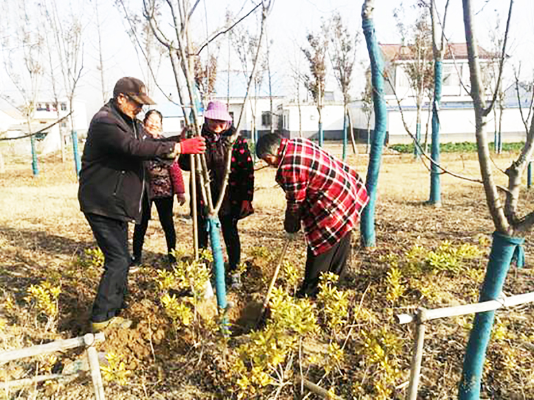 陳濤鎮(zhèn)村民S328沿線植樹