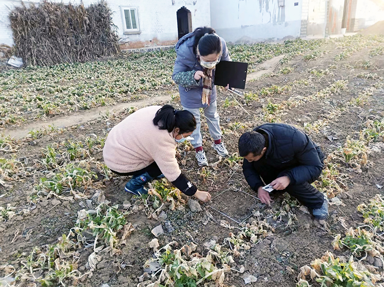 縣植保站開展春季農(nóng)田雜草調(diào)查