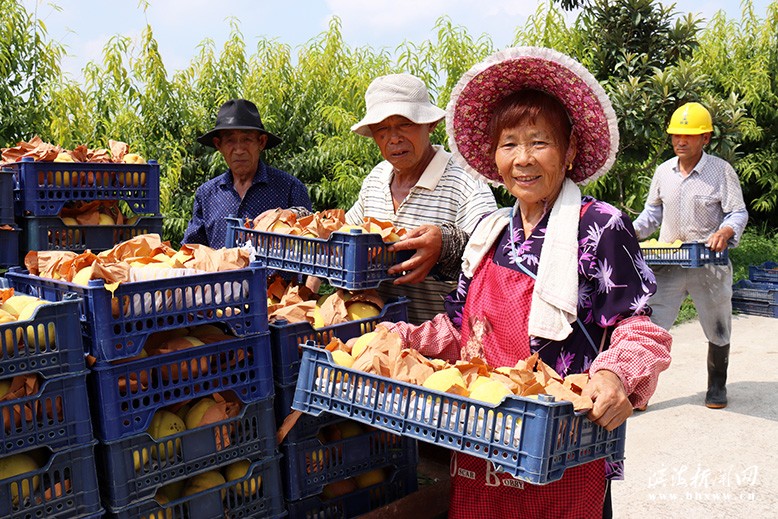 我縣打造黃河故道片區(qū)生態(tài)富民廊道